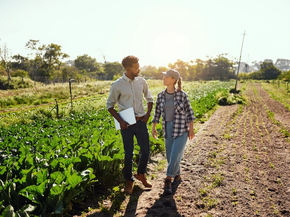 Two people walking in a field talking.