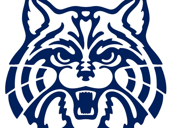 Wildcat face outline in blue color