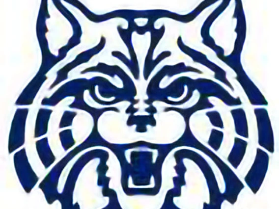 WilburUniversity-of-Arizona-Logo
