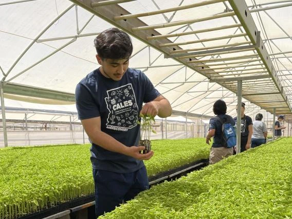 student at agdiscovery camp