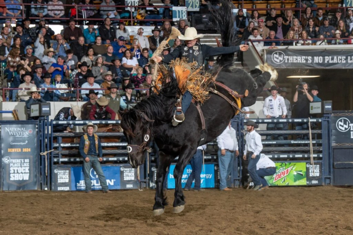 Photo of man riding horse