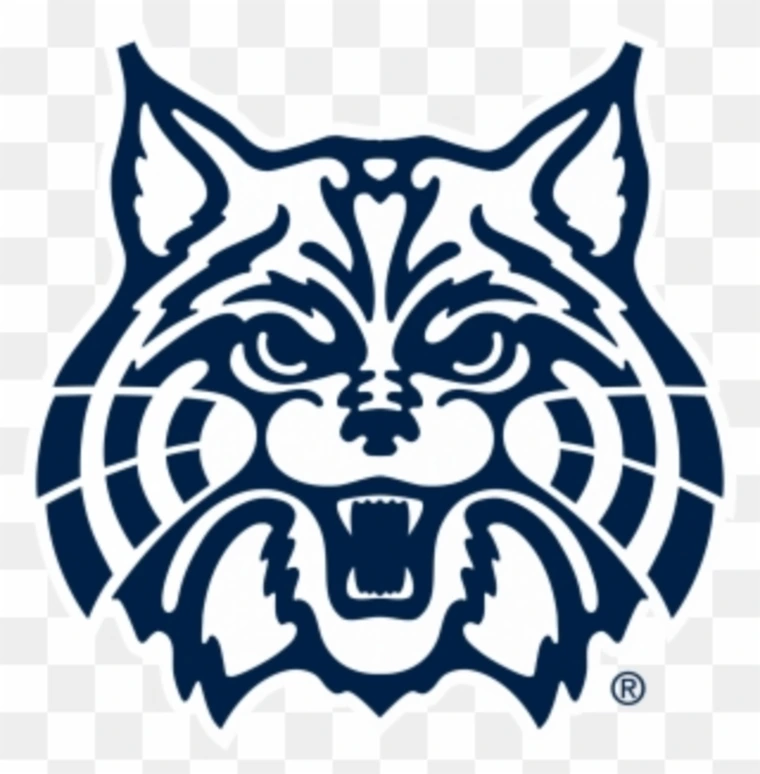 wildcat